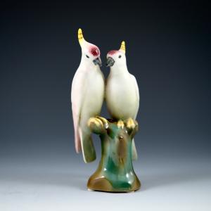 Pair of parrots